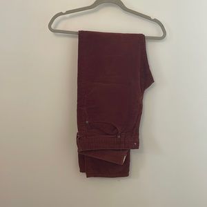 J Crew rust colored 770 5 pocket corduroys